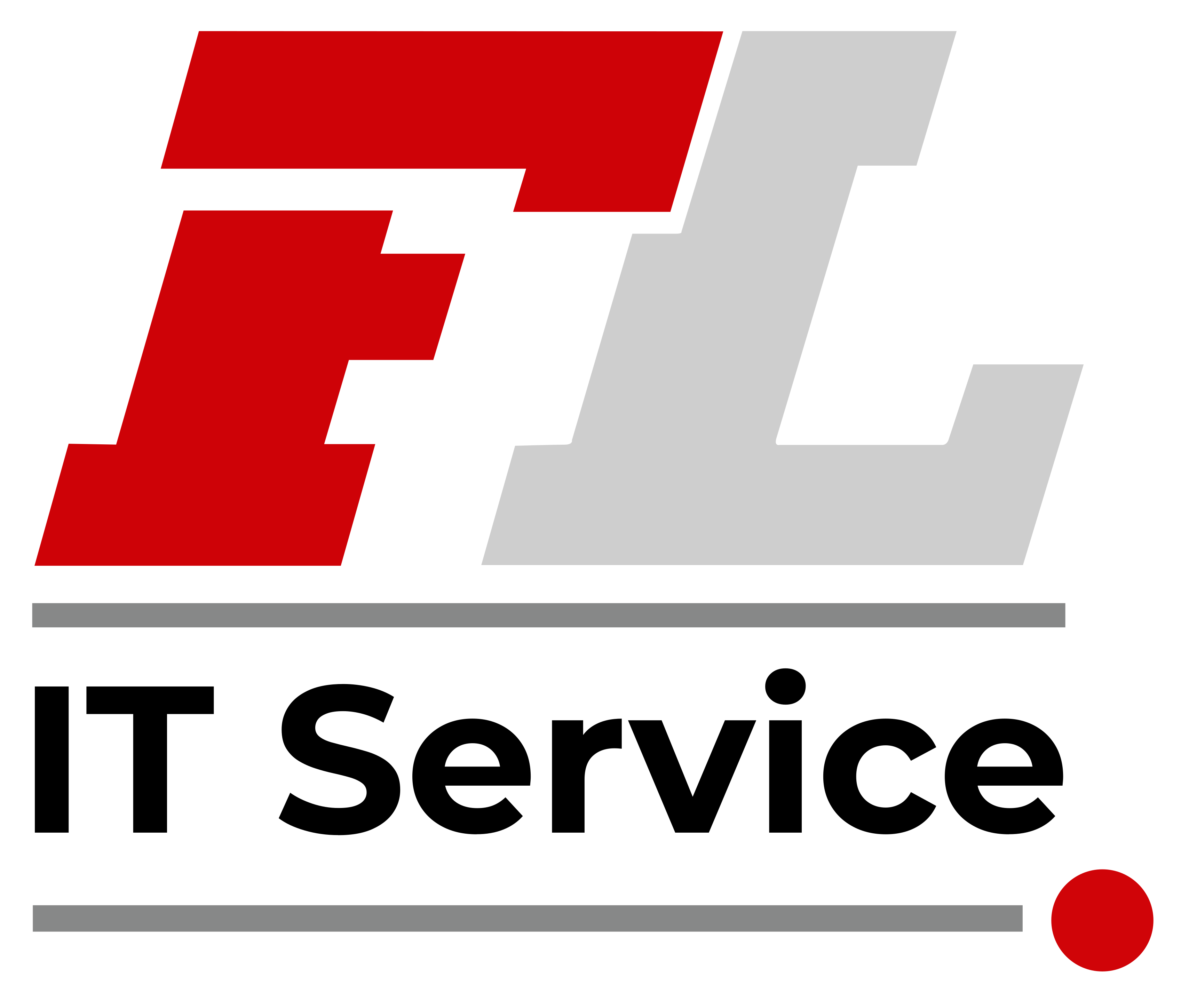 FL IT-Service Logo